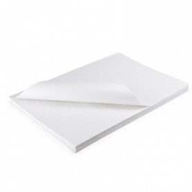 Florio 2145 - Carta...