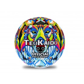 Teorema 52003 - Pallone...
