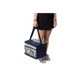 Fratelli Pesce 8184 - Borsa Frigo 20 L