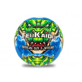Teorema 52126 - Pallone...