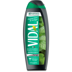 Vidal 5611 - Doccia Shampoo Menta e Ginkgo 250 ml