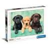 Clementoni 39279 - Puzzle 1000 Pezzi - Labrador