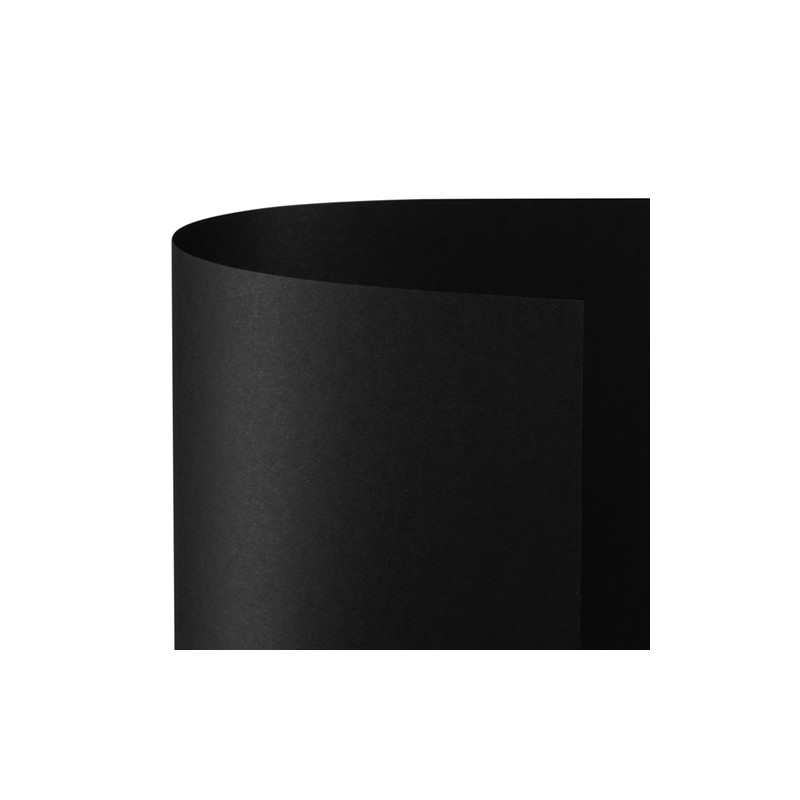 Favini A35A0A1 - Cartoncino Bristol 200gr 100 x 70 cm Nero