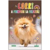 Marpimar ALOD10 - Biglietti Compleanno Animali Fotografici Conf.12 pz