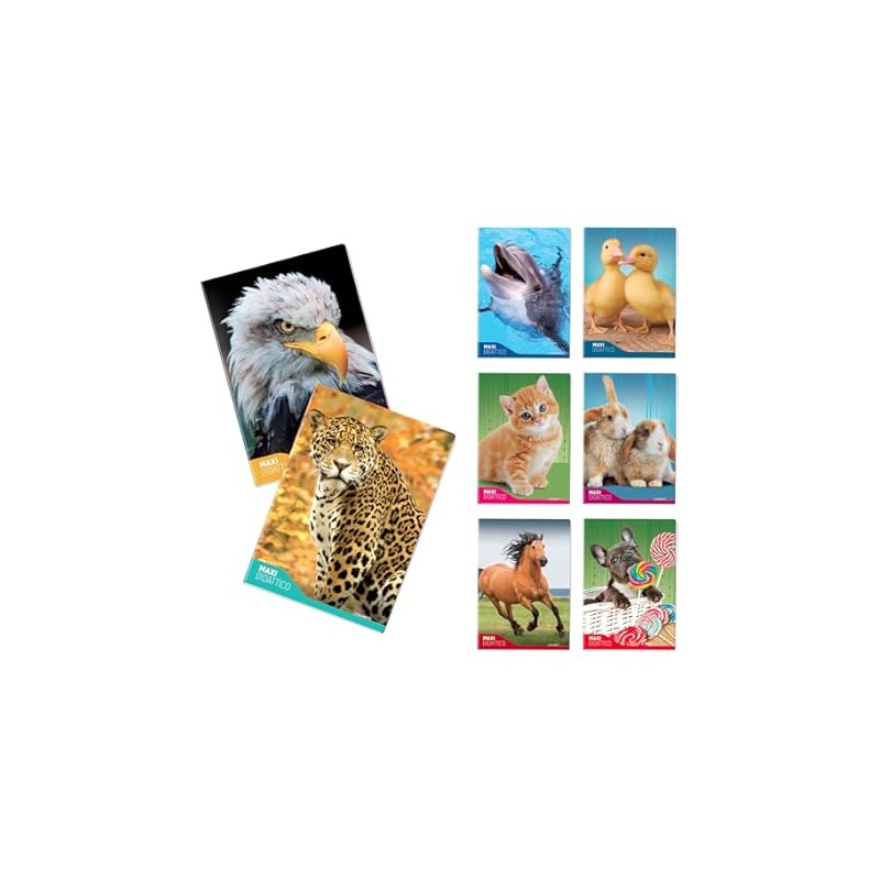 Blasetti 10046 - Maxi Quaderno A4 1R Fantasia Animali 100Gr