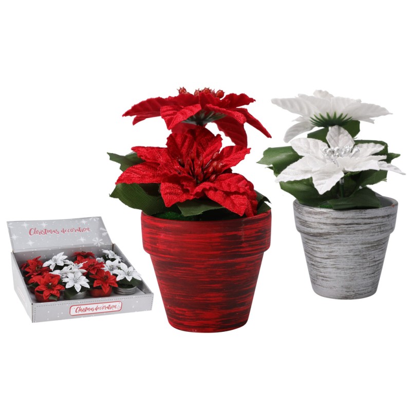 Koopmann ANM222620 - Stella di Natale 12 cm