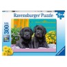 Ravensburger 12950 - Puzzle 300 Pezzi - Vita da Cucciolo