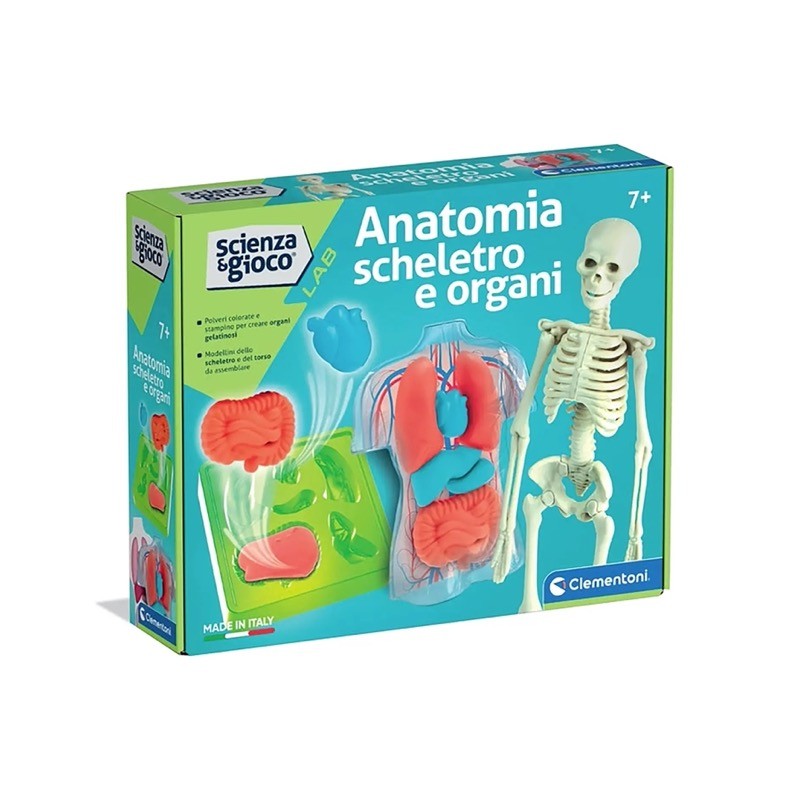Clementoni 19414 - Scienza & Gioco - Anatomia Scheletro e Organi