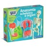 Clementoni 19414 - Scienza & Gioco - Anatomia Scheletro e Organi