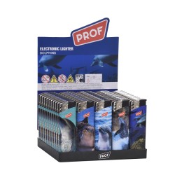 Prof 41804725 - Accendini...
