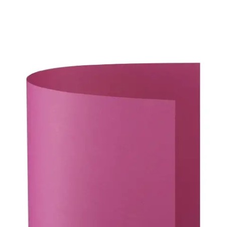 Favini A35F012 - Cartoncino Bristol 200gr 50 x 70 Ciclamino
