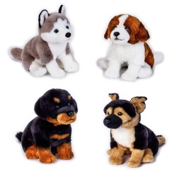 Venturelli 642307 - Pets...