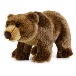 Venturelli 650041 - Orso...