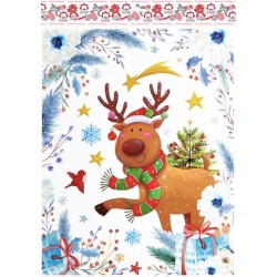 Inab 80105 - Vetrofanie Medie Noel 30 x 40 cm Ass.