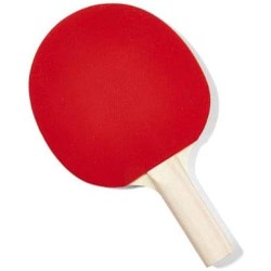 Fratelli Pesce 8873 - Racchetta Ping Pong 2 Stelle