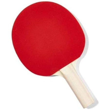 Fratelli Pesce 8873 - Racchetta Ping Pong 2 Stelle