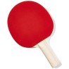 Fratelli Pesce 8874 - Racchetta Ping Pong 4 Stelle