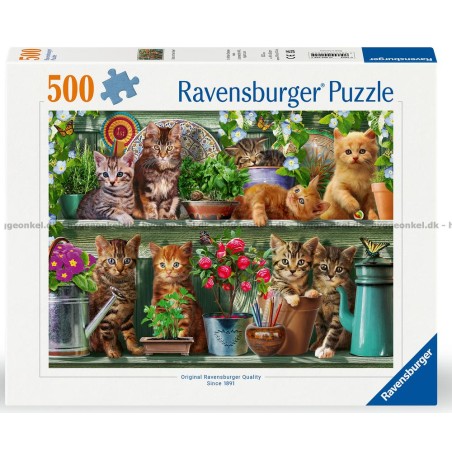 Ravensburger 205 - Puzzle 500 Pezzi - Gatto sullo Scaffale
