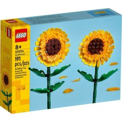 Lego 40524 - Botanicals -...