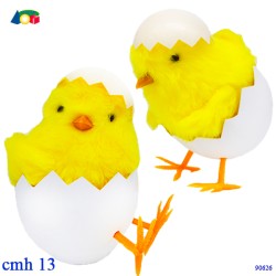 Ginamr 90626 - Pulcino...