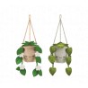 Rei Toys RBG00400 - GreenHouse - Pianta Pensile Peluche 15 cm