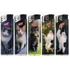 Prof 40804861 - Accendini Elettronici Ricaricabili Cats Conf.50 pz SC50 ACCEND.GATT
