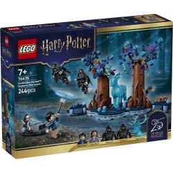 Lego 76475 - Harry Potter -...