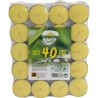 Koopman 8100510 - Citronella Tealight 40 pz