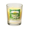 Koopmann 300110 - Candela Vetro Citronella 5 x 6 cm