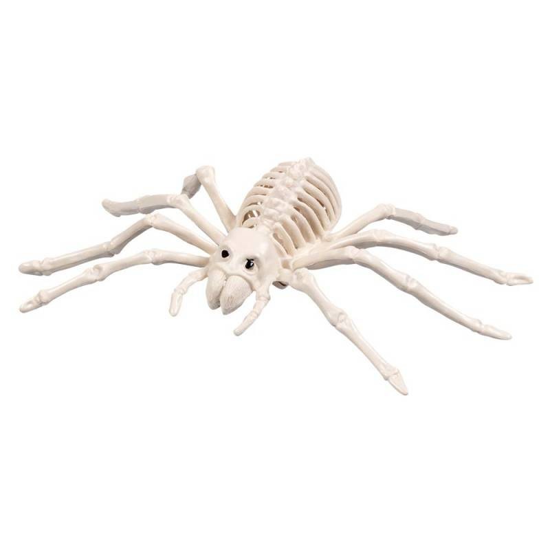 Ciao 25269 - Scheletro Ragno 23 cm