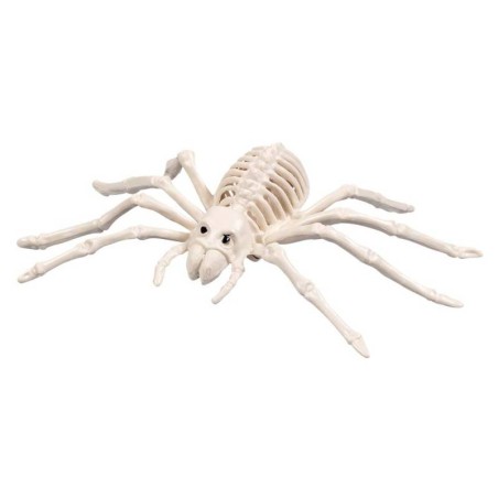 Ciao 25269 - Scheletro Ragno 23 cm