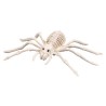 Ciao 25269 - Scheletro Ragno 23 cm