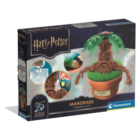 Clementoni 19458 - Harry Potter - Mandrake Terrarium Mandragola da Dipingere