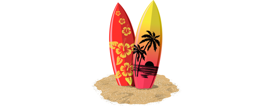 Body Surf Skim Board e Assi Nuoto